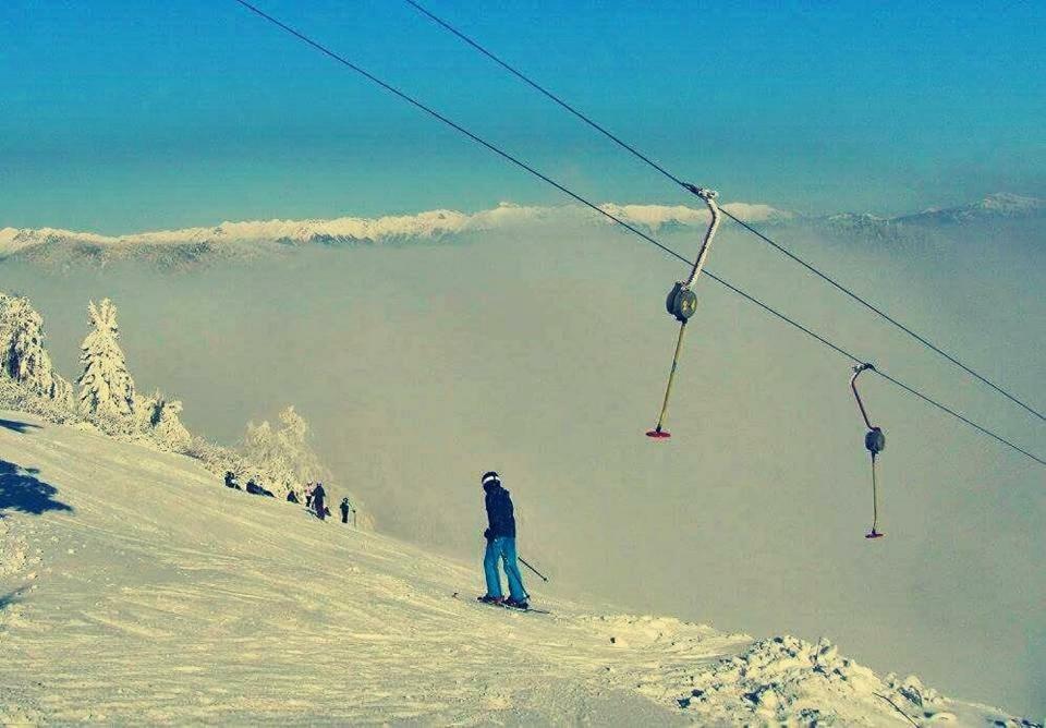 Apartma Alpski Vrt Vojsko Kültér fotó